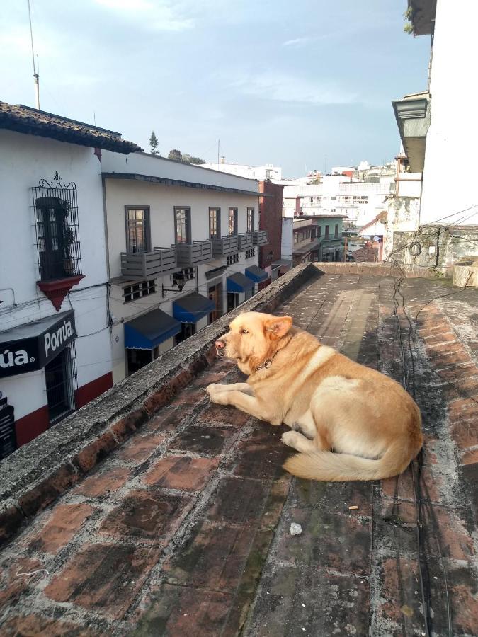 Hostal 50 Xalapa Kültér fotó